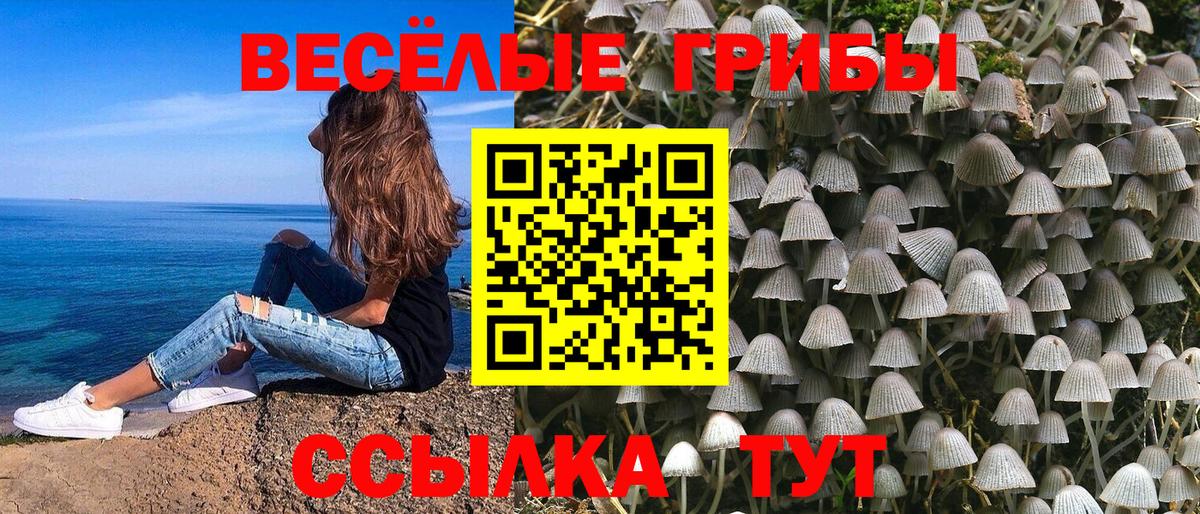 Псилоцибиновые грибы Magic Shrooms Коряжма